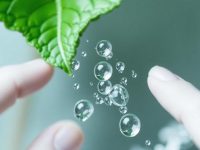 The Role of Saliva in Oral Health